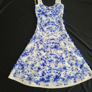 Herve Leger Blue and White Midi Dress